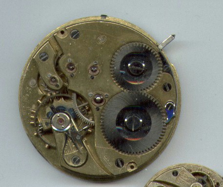 IWC_1.jpg